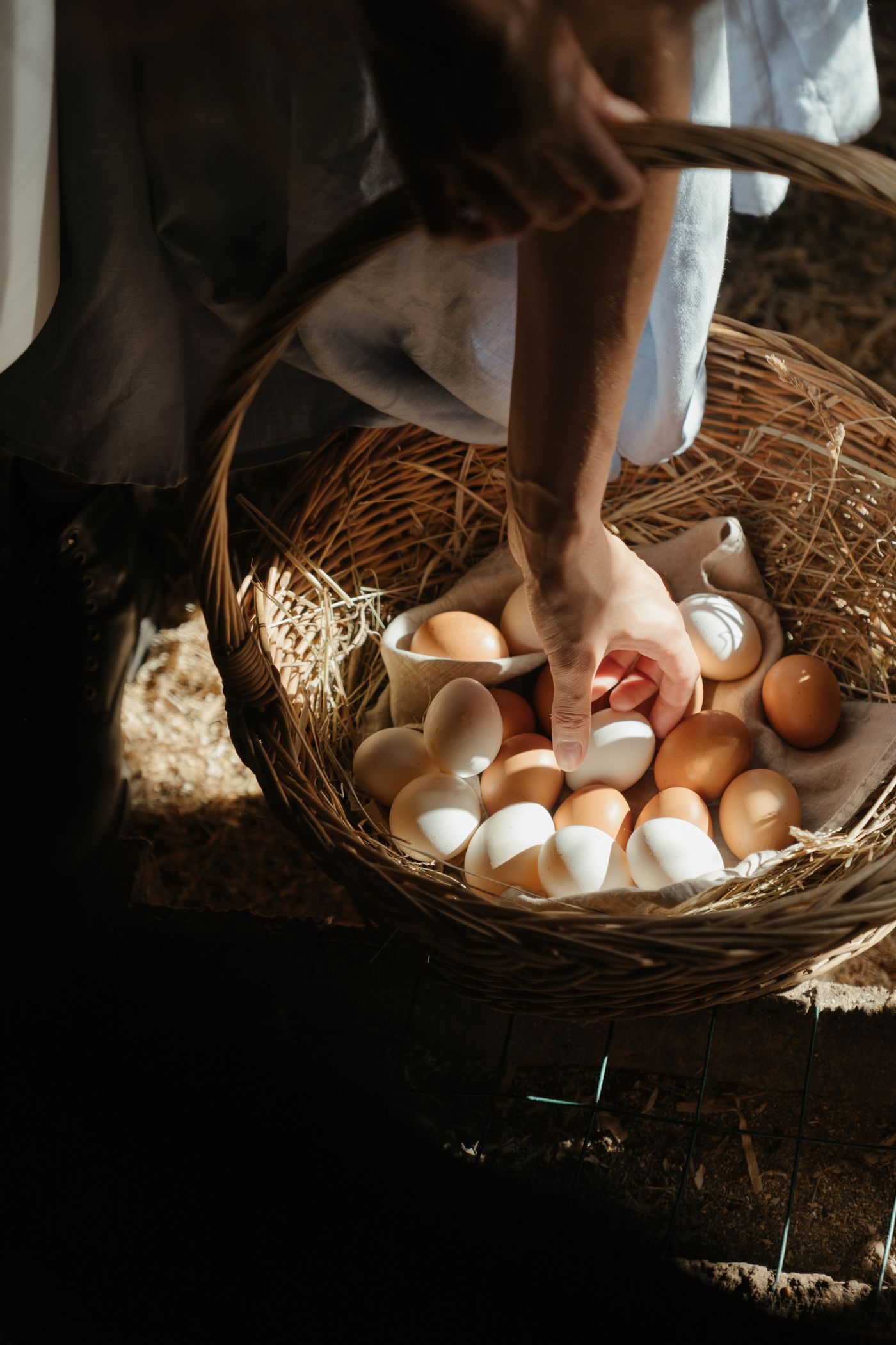 Des œufs bruns dans un panier d'osier.